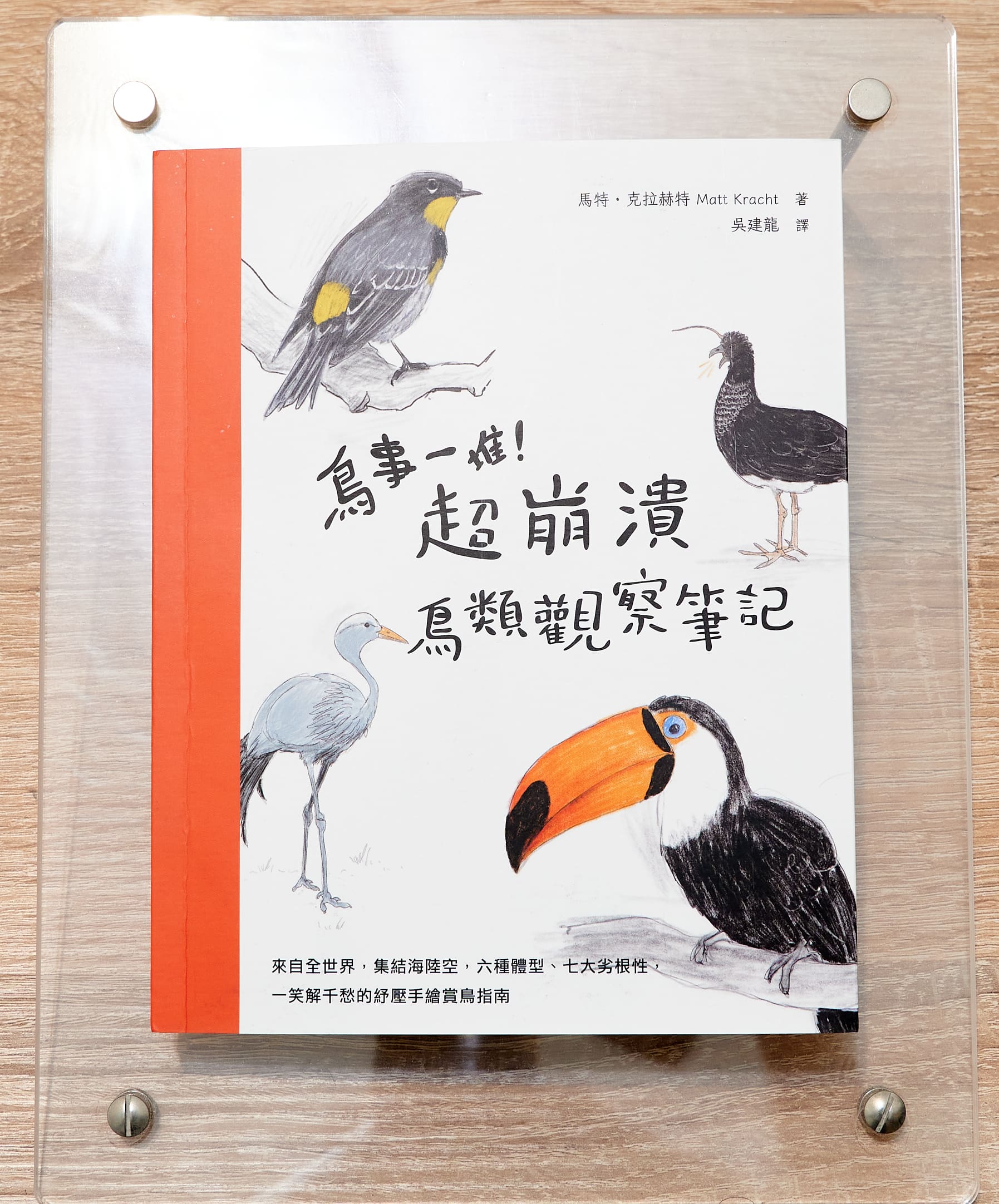 鳥事一堆超崩潰，鳥類觀察筆記