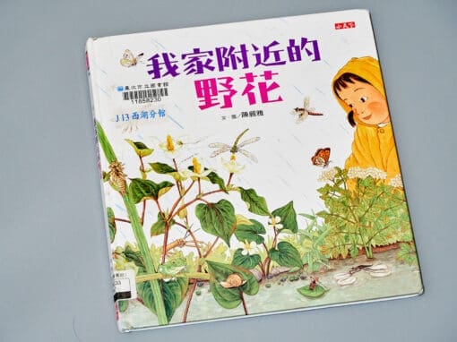 南一 自然三上第一課 認識植物 書單