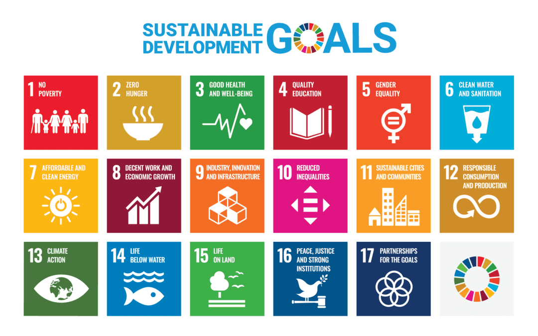 SDGs 是什麼？今年大學學測的社會科考題就有 SDGs！