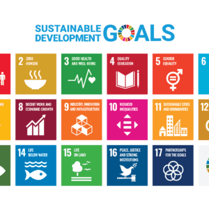 SDGs 是什麼？今年大學學測的社會科考題就有 SDGs！