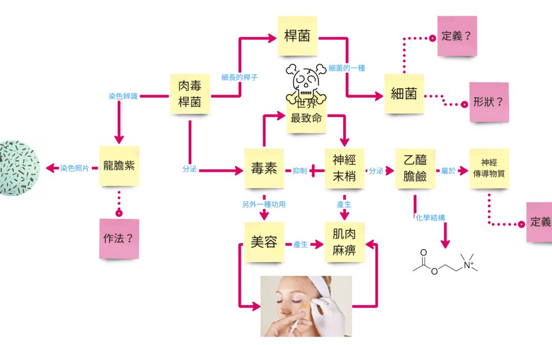 知識讀本一魚兩吃（進階篇，國小中高年級）・暑假閱讀計畫第三課！