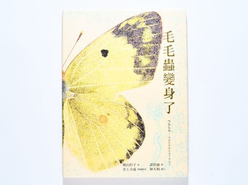 毛毛蟲變身了